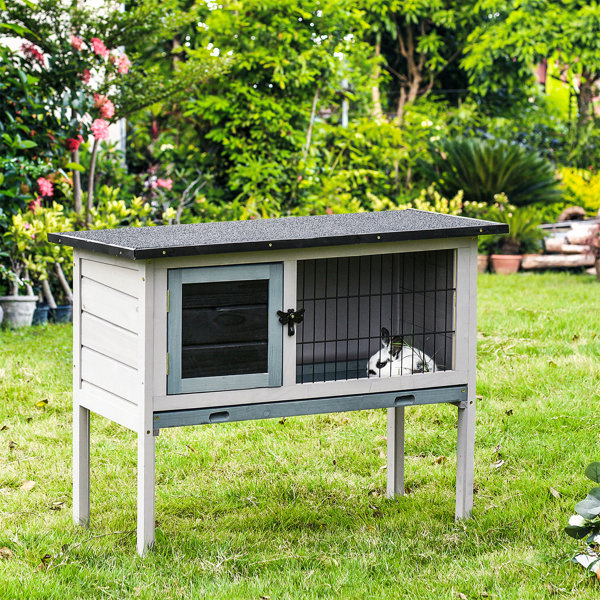 Pets at shop home blossom hutch